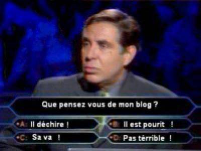 QUE PENSEZ VOUS DE MON BLOG??